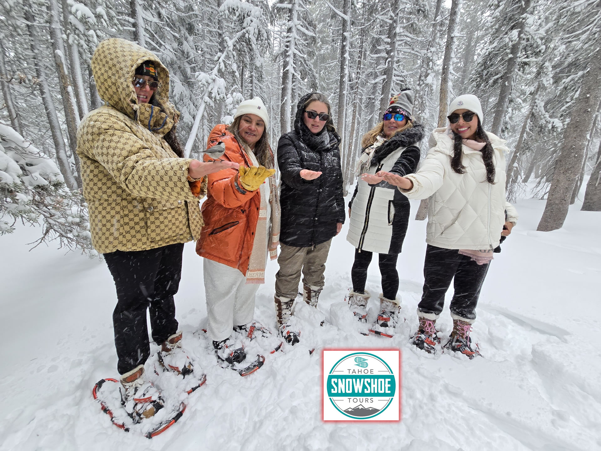 Thank You for your Request 2 tahoesnowshoetours 2025